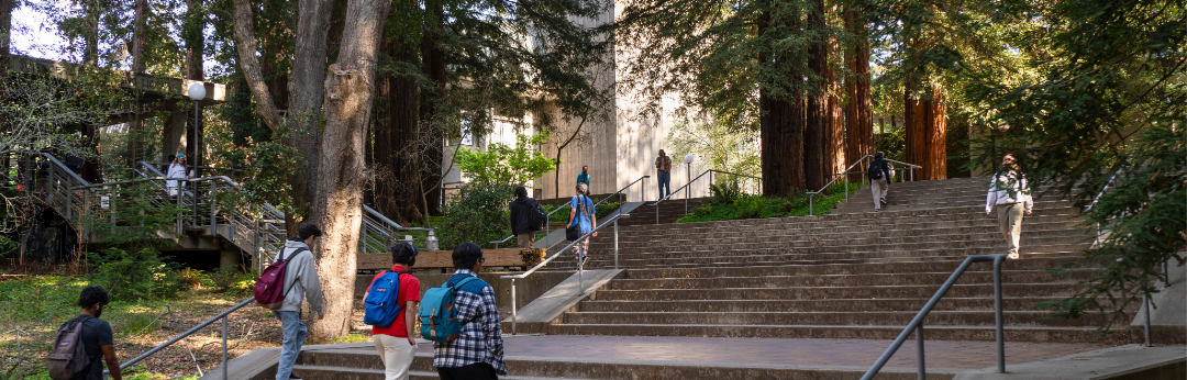 students walking up stairs